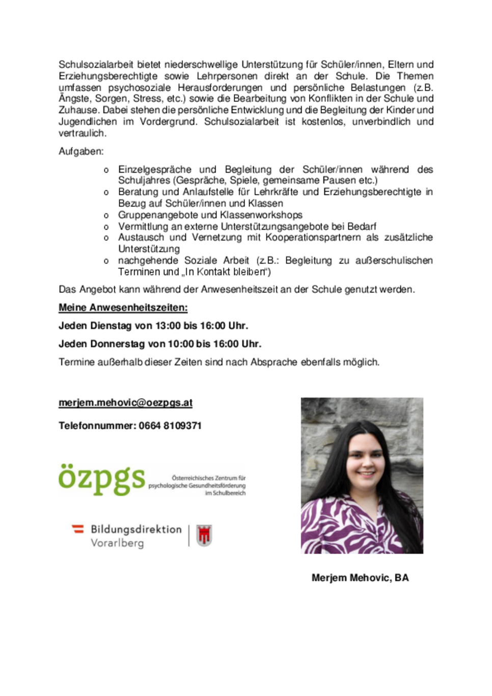 Website-Vorstellung_VSU