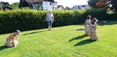 IMG_20260702_091927