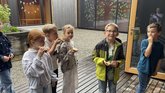 IMG_4222__1_
