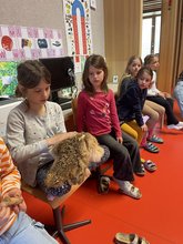 07-IMG_8364